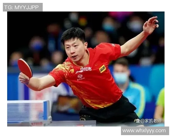 南京乒乓球队在锦标赛中的耐力表现分析与启示 南京乒乓球队在锦标赛中的耐力表现分析与启示