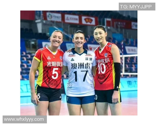 南京排球队总决赛个人能力全面解析与表现评估