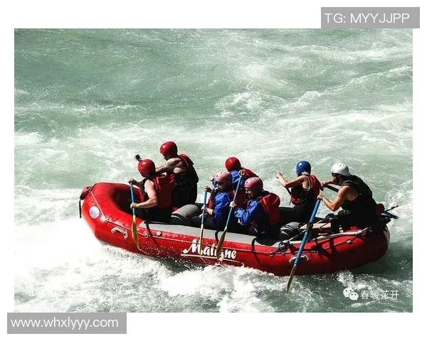 深圳排球队团队协作的创新变革与热议探讨