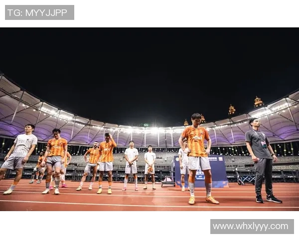 深圳排球队进攻战术解析与球员表现全面剖析