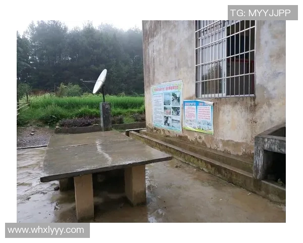 深度对话吴娜分享她的篮球人生与成长故事的启示与反思