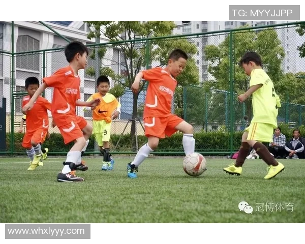 梅尔夫足球的崛起与发展探讨及其对青少年体育的影响分析