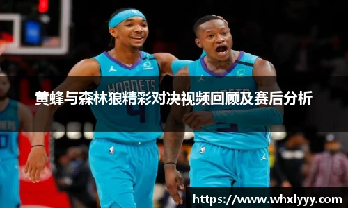黄蜂与森林狼精彩对决视频回顾及赛后分析